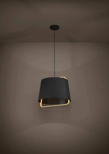 Светильник подвесной Camaloza 390185 Eglo чёрный 1 лампа, основание чёрное в стиле современный  фото 2