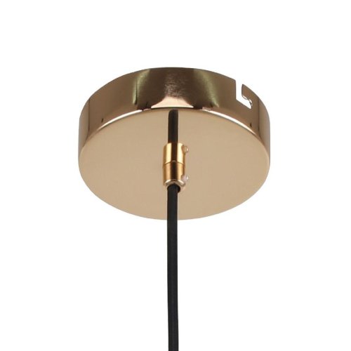 Светильник подвесной Sheen 2757-1P F-promo чёрный 1 лампа, основание золотое в стиле минимализм  фото 2