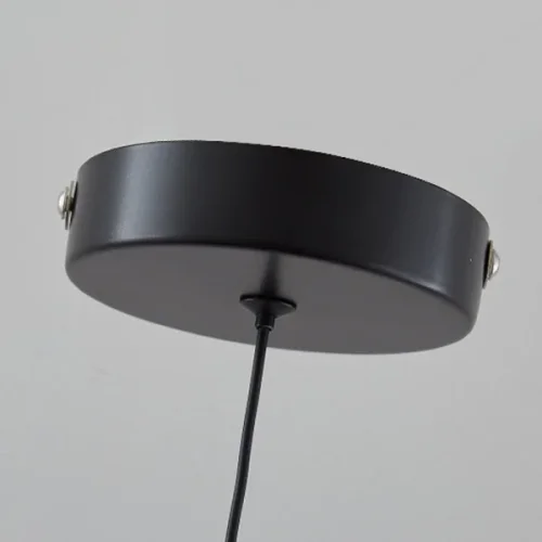 Светильник подвесной CAI Chrome 219212-23 ImperiumLoft прозрачный 1 лампа, основание хром в стиле скандинавский минимализм  фото 5