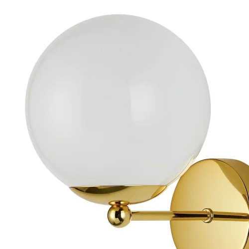 Бра Undine 2811-1W Favourite белый на 1 лампа, основание золотое в стиле классический  фото 4