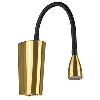 Бра с выключателем LED Muro 808641 Lightstar латунь на 1 лампу, основание латунь в стиле современный хай-тек минимализм гибкая ножка для чтения