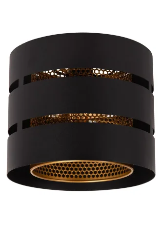 Светильник потолочный Rosas 21133/01/30 Lucide чёрный 1 лампа, основание чёрное в стиле лофт винтаж  фото 2