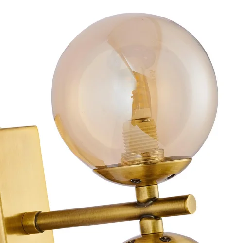 Бра Varietas 2649-2W Favourite янтарный на 2 лампы, основание латунь в стиле современный молекула фото 5