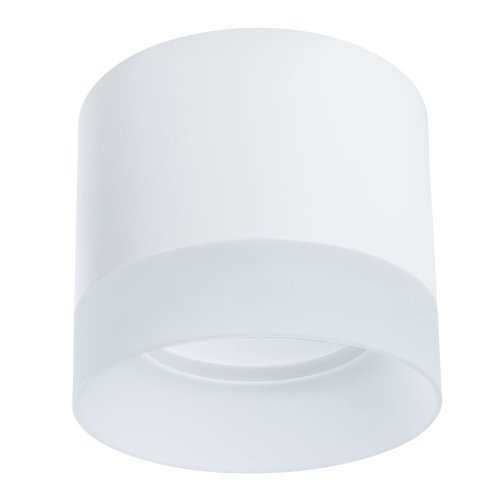 Светильник накладной Castor A5554PL-1WH Arte Lamp белый 1 лампа, основание белое в стиле современный круглый