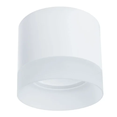 Светильник накладной Castor A5554PL-1WH Arte Lamp белый на 1 лампу, основание белое в стиле современный круглый