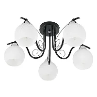 Люстра потолочная Daniella MR1570-5C MyFar белая на 5 ламп, основание чёрное в стиле современный шар