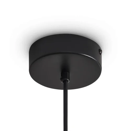 Светильник подвесной LED Ice FR5541PL-L5B Freya прозрачный на 1 лампу, основание чёрное в стиле современный фото 4