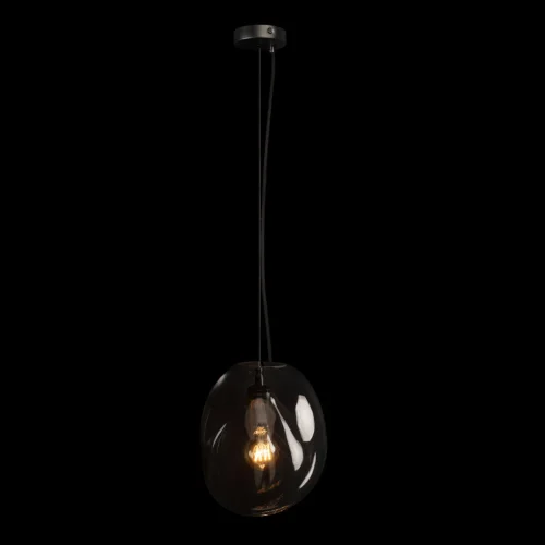 Светильник подвесной Gallo 10293 Clear LOFT IT прозрачный 1 лампа, основание чёрное в стиле арт-деко  фото 4