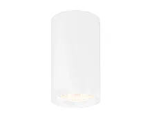 Светильник накладной TN213133 Ambrella light белый 1 лампа, основание белое в стиле минимализм хай-тек круглый
