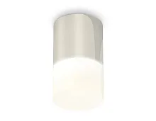 Светильник накладной Techno spot XS6305022 Ambrella light белый 1 лампа, основание серебряное в стиле модерн круглый