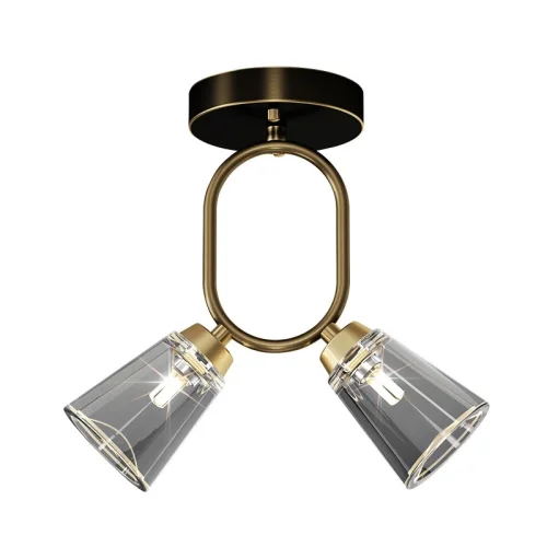 Светильник потолочный ADRIELL CH Brass Black 208131-23 ImperiumLoft прозрачный на 2 лампы, основание латунь в стиле современный фото 3