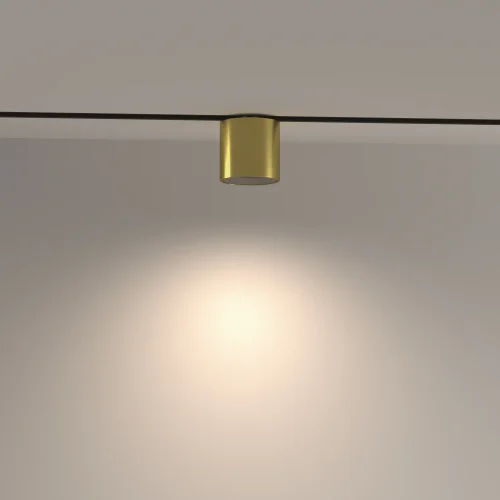 Трековый светильник LED Magnetic track system Exility TR132-4-7W-DS-BS Maytoni латунь для шинопроводов серии Magnetic track system Exility чёрный латунь фото 12