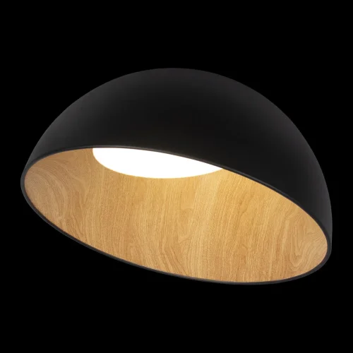 Светильник потолочный LED Egg 10197/500 Black LOFT IT белый чёрный коричневый 1 лампа, основание коричневое чёрное в стиле современный  фото 2