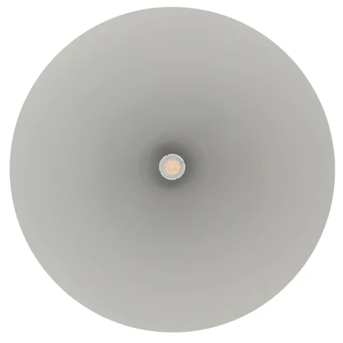 Светильник подвесной Zenith L 10872-NW Nowodvorski серый на 1 лампу, основание серое в стиле лофт фото 5