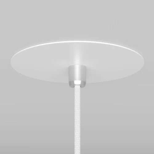 Светильник подвесной Nevill P318-PL-01-W Maytoni белый 1 лампа, основание белое в стиле современный трубочки фото 5