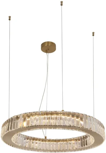 Люстра подвесная LED Manor 4195-6P Favourite прозрачная на 2 лампы, основание золотое в стиле классический кольца