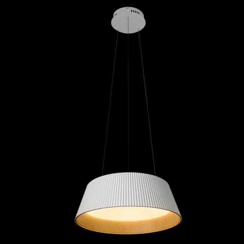 Светильник подвесной LED Evans 10224P White LOFT IT белый на 1 лампу, основание белое в стиле современный круглый фото 2