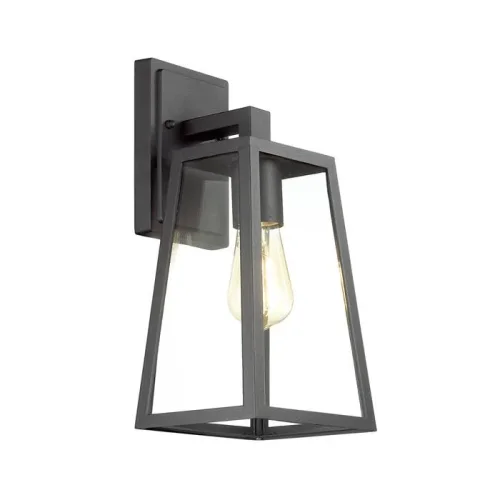 Настенный светильник уличный Clod 4169/1W Odeon Light уличный IP43 чёрный на 1 лампу, плафон прозрачный в стиле современный E27