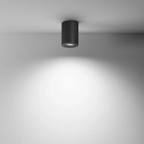 Светильник накладной Alfa C016CL-01B Maytoni чёрный 1 лампа, основание чёрное в стиле современный круглый фото 5