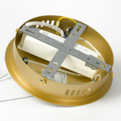 Светильник подвесной LED Bradford LSP-7161 Lussole белый 2 лампы, основание матовое золото в стиле современный хай-тек кольца фото 6