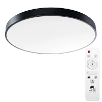 Светильник потолочный LED с пультом Arena A2673PL-1BK Arte Lamp белый 1 лампа, основание чёрное в стиле хай-тек с пультом