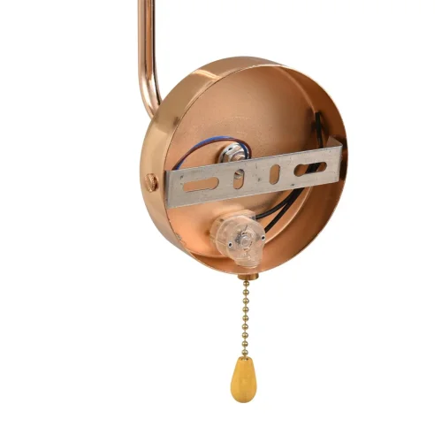 Бра с выключателем Favla 8347/1W Lumion прозрачный на 1 лампу, основание золотое в стиле классический фото 6 Бра с выключателем Favla 8347/1W Lumion прозрачный на 1 лампу, основание золотое в стиле классический фото 6