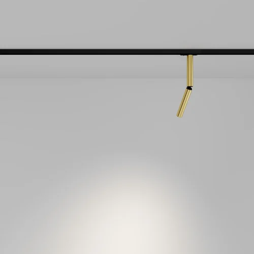 Трековый светильник LED Single phase track system Unity TR142-1-6W3K-BS Maytoni латунь для шинопроводов серии Single phase track system Unity латунь фото 4