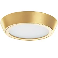 Светильник накладной LED Urbano 214934 Lightstar матовый золото золотой 1 лампа, основание матовое золото золотое в стиле современный хай-тек круглый