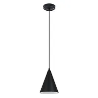 Светильник подвесной Lark A7074SP-1BK Arte Lamp чёрный на 1 лампу, основание чёрное в стиле лофт современный 