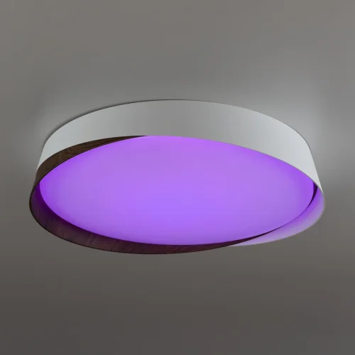 Светильник потолочный LED RGB с пультом Bonny CL754350G Citilux белый 1 лампа, основание белое в стиле современный хай-тек круглый с пультом фото 6