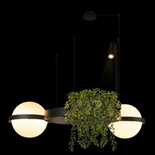 Светильник подвесной LED Jardin 10121/2 Dark grey LOFT IT белый 2 лампы, основание чёрное антрацит в стиле флористика арт-деко  фото 3