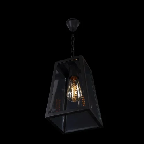 Светильник подвесной LOFT1127 LOFT IT прозрачный 1 лампа, основание чёрное в стиле лофт  фото 4