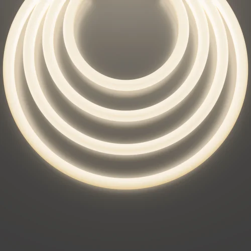 Гибкий неон LNM-D25-48V-12,5W-4K-R-IP65 433002 433002 Maytoni цвет LED нейтральный белый 4000K, световой поток Lm фото 4