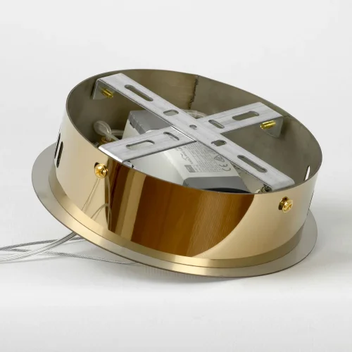 Светильник подвесной LED LSP-7209 Lussole золотой 1 лампа, основание золотое в стиле хай-тек современный кольца фото 6