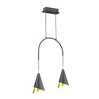 Светильник подвесной LED Etna 4116/14L Odeon Light чёрный на 2 лампы, основание чёрное в стиле современный 