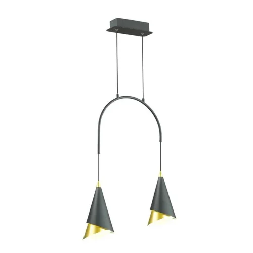 Светильник подвесной LED Etna 4116/14L Odeon Light чёрный на 2 лампы, основание чёрное в стиле современный 
