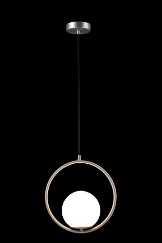 Светильник подвесной Glob LOFT2600-B LOFT IT белый 1 лампа, основание никель в стиле современный шар фото 3