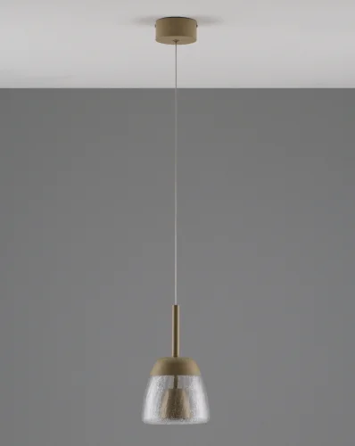 Светильник подвесной LED Eir V10873-PL Moderli прозрачный 1 лампа, основание бежевое в стиле современный  фото 2