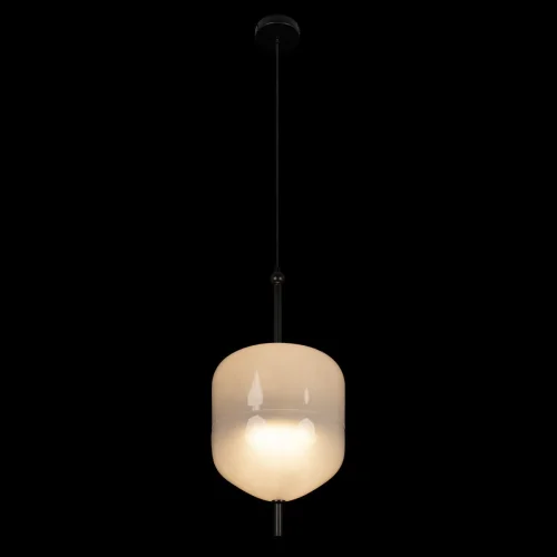 Светильник подвесной LED Venice 10223/D White LOFT IT белый 1 лампа, основание чёрное в стиле современный  фото 3