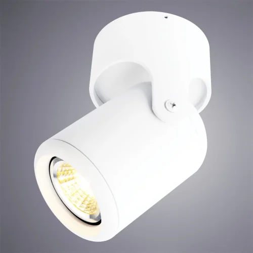 Светильник накладной Libra A3316PL-1WH Arte Lamp белый 1 лампа, основание белое в стиле современный круглый фото 2