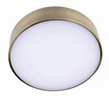 Светильник потолочный LED Evon APL.0113.29.24 Aployt купить в интернет магазине уютный-свет.рф