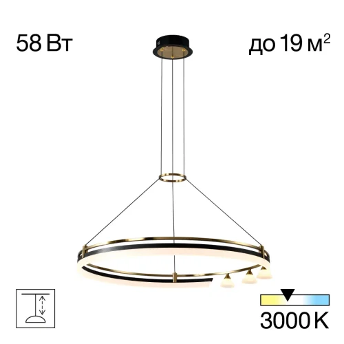 Люстра подвесная LED Helly CL211082 Citilux белая на 1 лампу, основание чёрное в стиле современный 