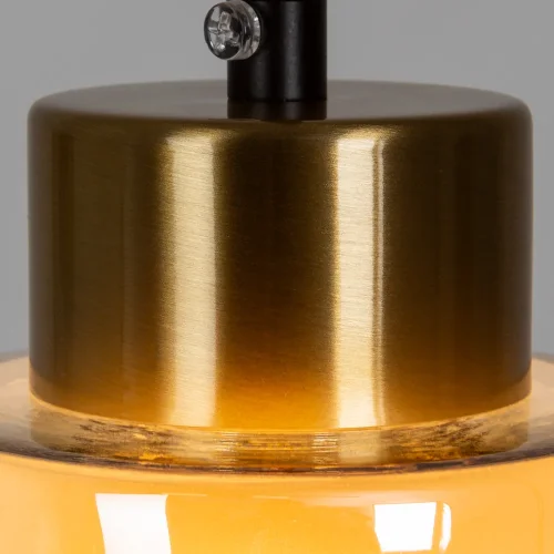 Светильник подвесной Leo A7027SP-1BK Arte Lamp янтарный 1 лампа, основание чёрное в стиле современный лофт  фото 3