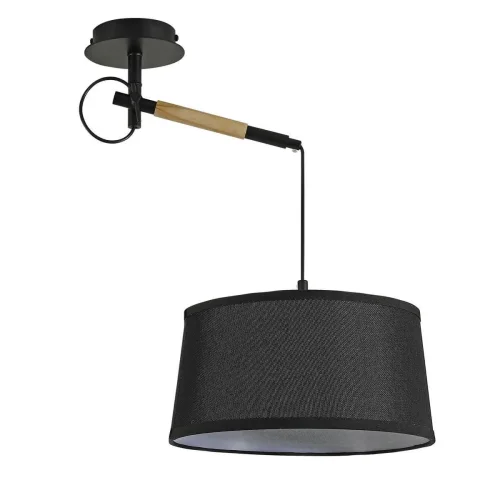Светильник потолочный Eureka 3006-1P F-promo чёрный 1 лампа, основание чёрное в стиле скандинавский  фото 2
