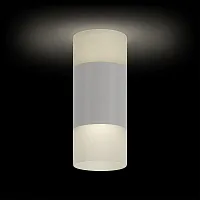 Светильник накладной LED Kassel 52063 4 Ritter белый 1 лампа, основание белое в стиле современный круглый