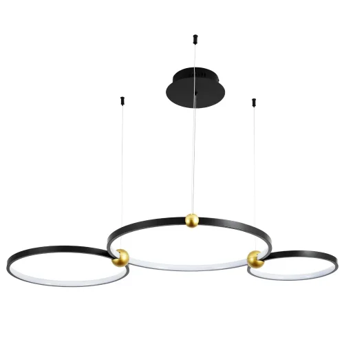 Светильник подвесной LED Amadeo 1123/04 SP-75 Divinare чёрный на 3 лампы, основание чёрное в стиле современный кольца