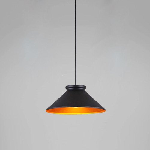 Светильник подвесной Brabbo V1430-1P Moderli чёрный 1 лампа, основание чёрное в стиле скандинавский  фото 4