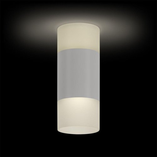 Светильник накладной LED Kassel 52063 4 Ritter белый 1 лампа, основание белое в стиле современный круглый