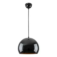Светильник подвесной Gloss LSP-8919 Lussole чёрный 1 лампа, основание чёрное в стиле современный 