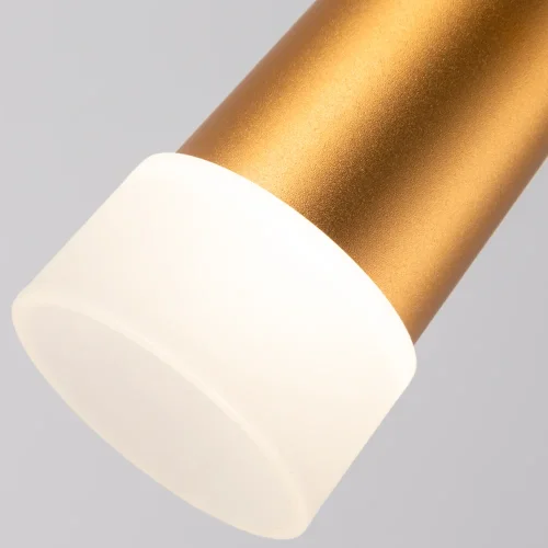 Светильник подвесной LED Sabik A6010SP-1SG Arte Lamp матовый золото 1 лампа, основание матовое золото в стиле модерн трубочки фото 3